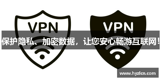 保护隐私、加密数据，让您安心畅游互联网！